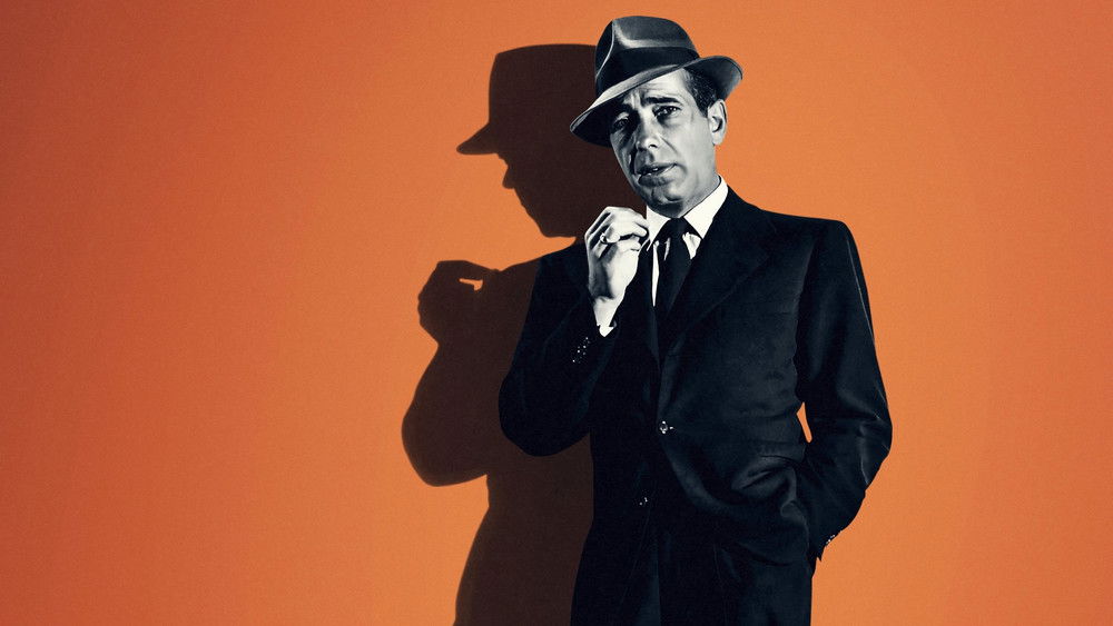 鲍嘉：生命转瞬即逝,Bogart: Life Comes in Flashes(2024电影)