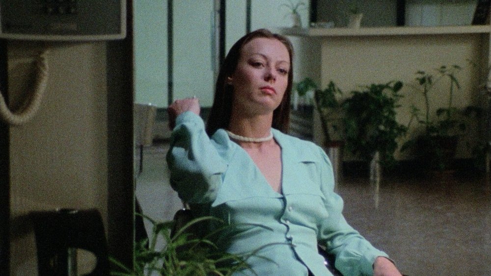 幻想,Fantasm(1976电影)
