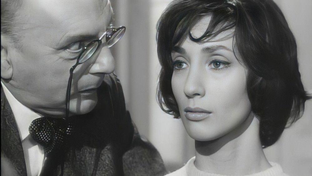 好女人们,Les bonnes femmes(1960电影)