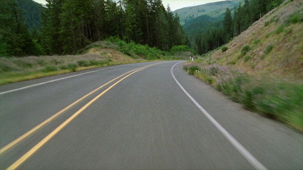 昨日欢愉,Old Joy(2006电影)