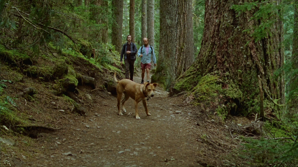 昨日欢愉,Old Joy(2006电影)