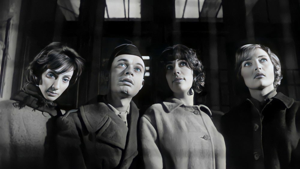 好女人们,Les bonnes femmes(1960电影)