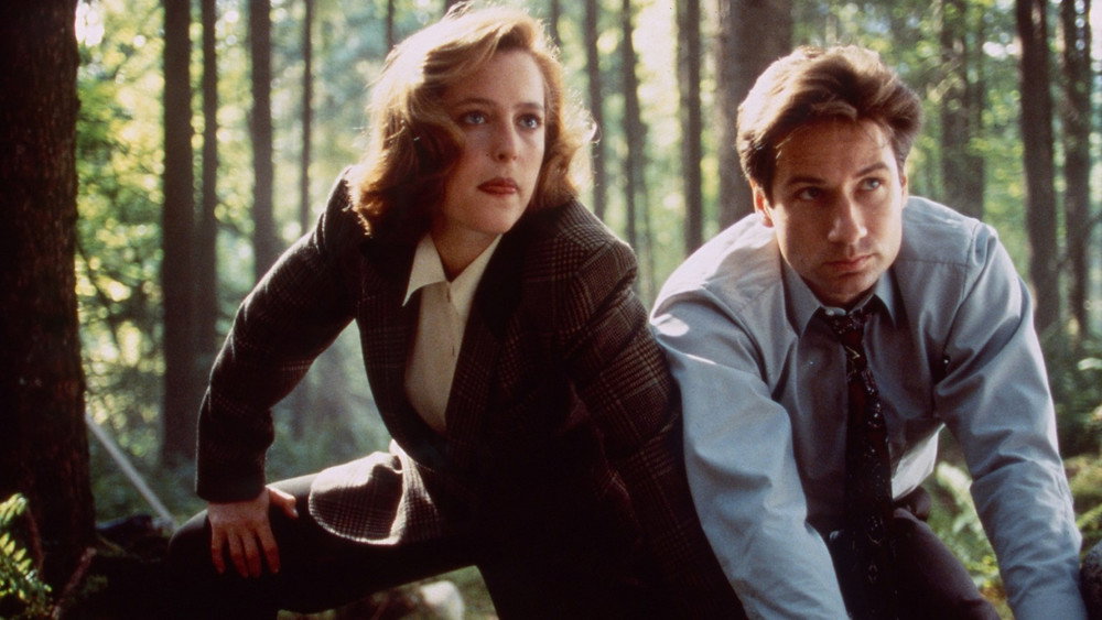 X档案,The X-Files(1993电视剧集)