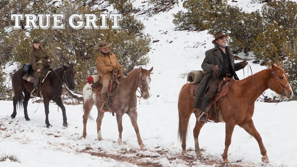 大地惊雷,True Grit(2010电影)