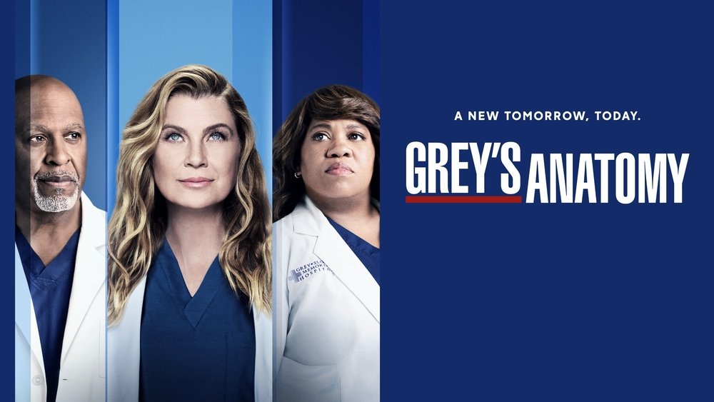 实习医生格蕾,Grey's Anatomy(2005电视剧集)