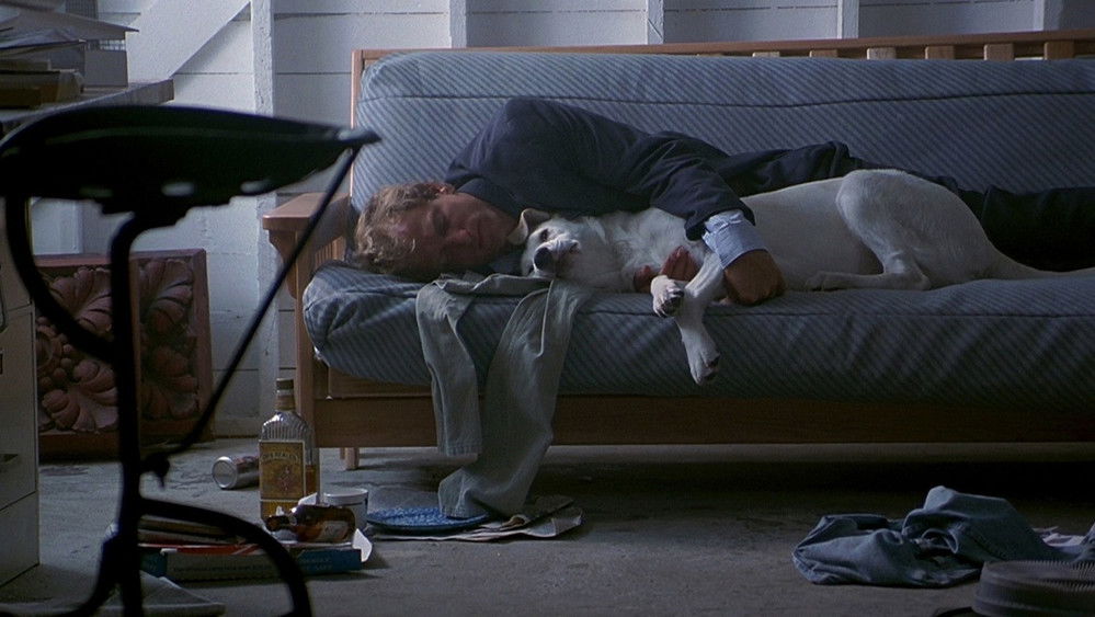 桃色交易,Indecent Proposal(1993电影)