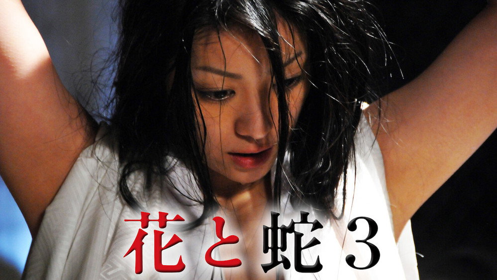 花与蛇3,花と蛇 3(2010电影)