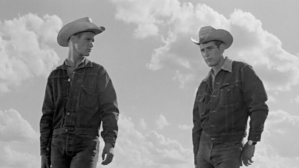 原野铁汉,Hud(1963电影)