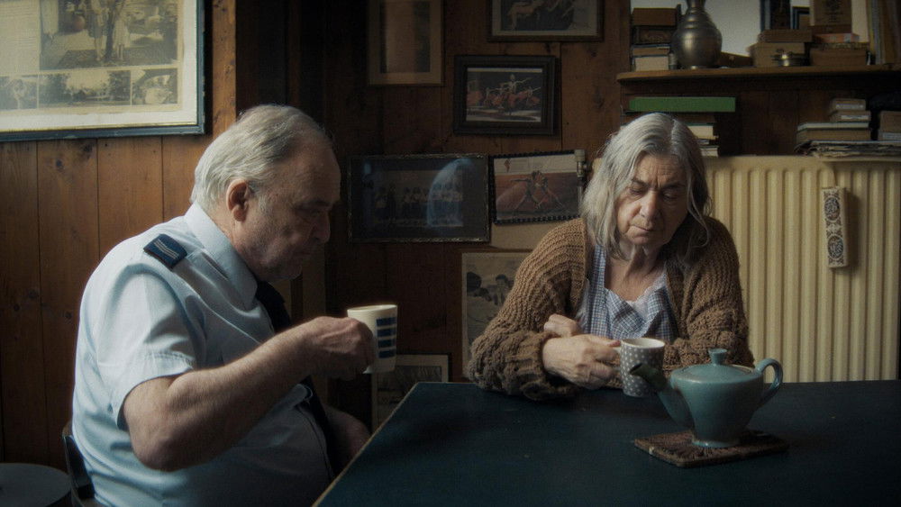 一场失败的母爱致敬,Een mislukt eerbetoon aan moederliefde(2026电影)