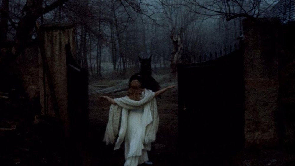 美女与野兽,Panna a netvor(1979电影)