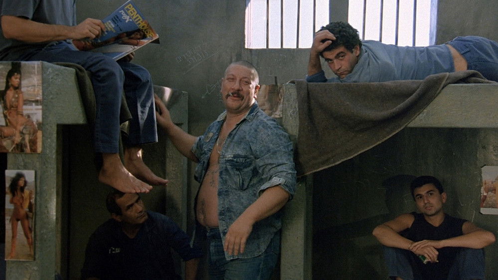 护照,Паспорт(1990电影)