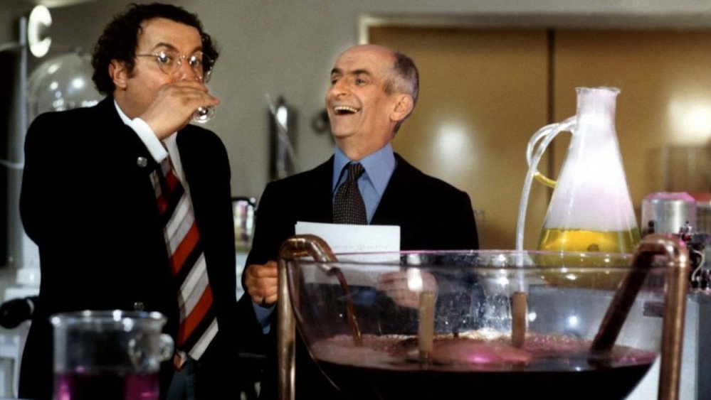 美食家,L'Aile ou la Cuisse(1976电影)