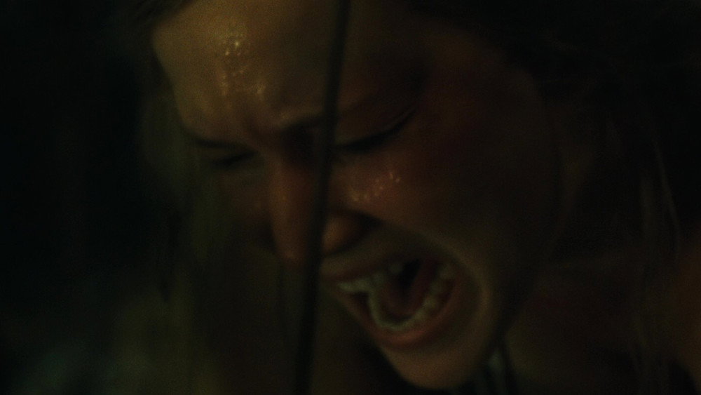 母亲！,mother!(2017电影)