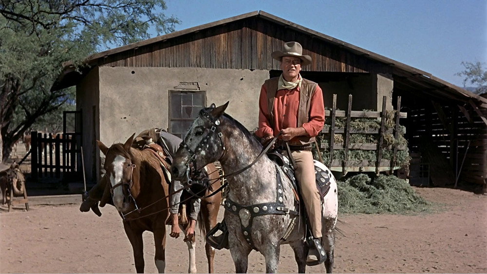 龙虎盟,El Dorado(1966电影)