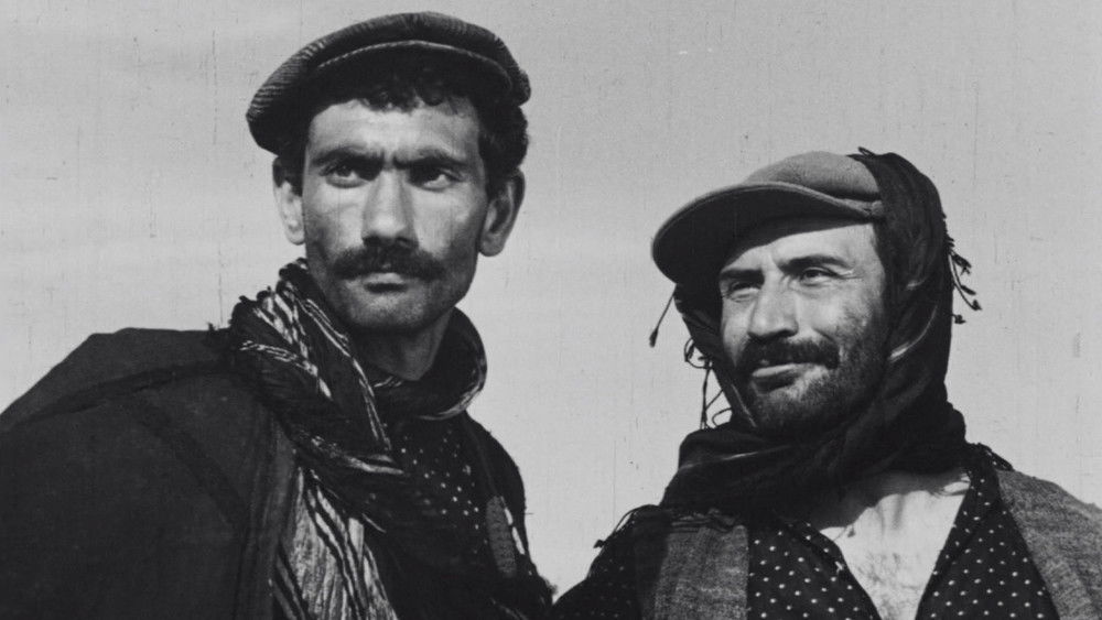 边境法规,Hudutların Kanunu(1966电影)