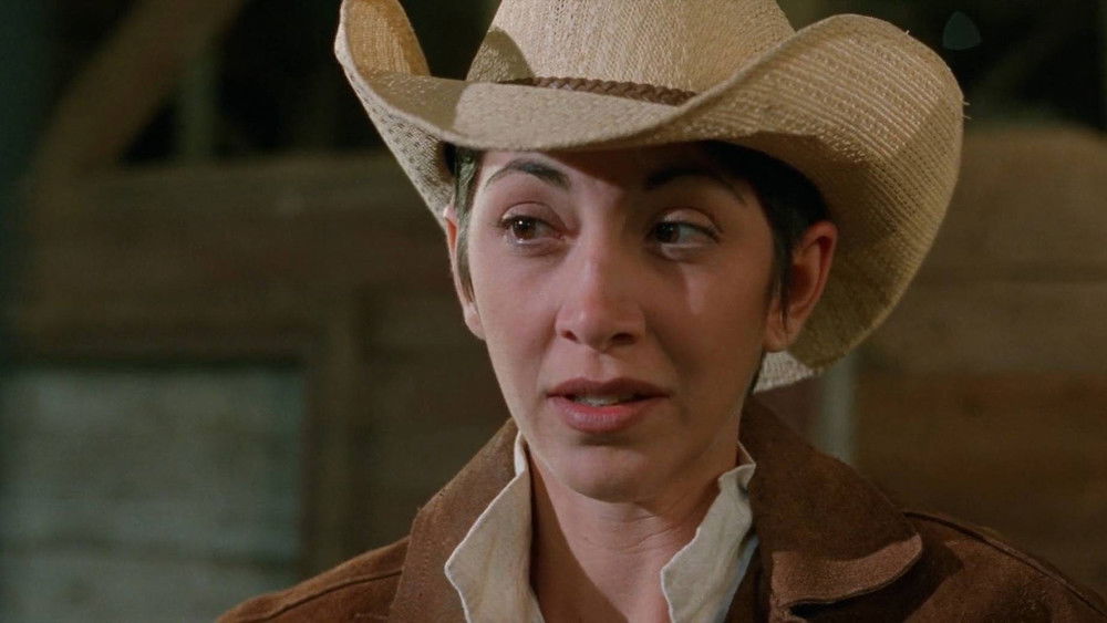 超时空悍将,Cyber Vengeance(1995电影)