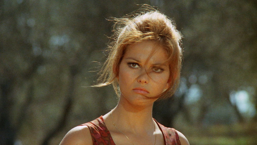 白天的猫头鹰,Il giorno della civetta(1968电影)