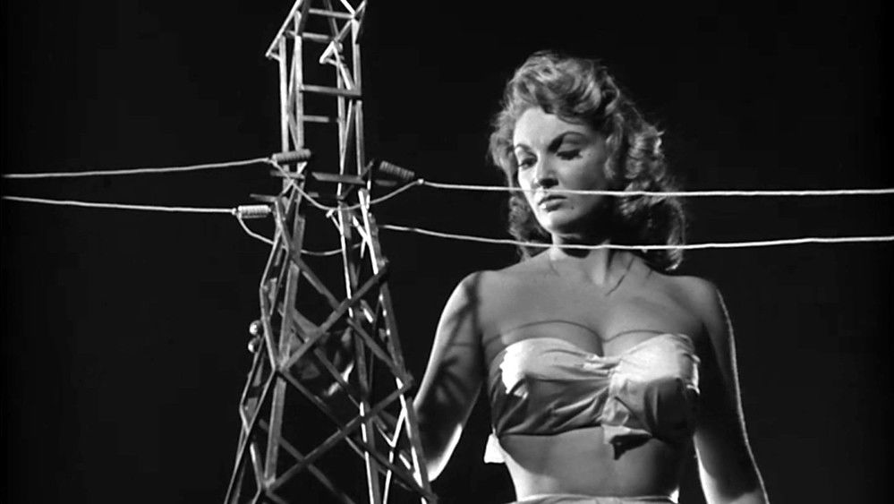 女巨人复仇记,Attack of the 50 Foot Woman(1958电影)