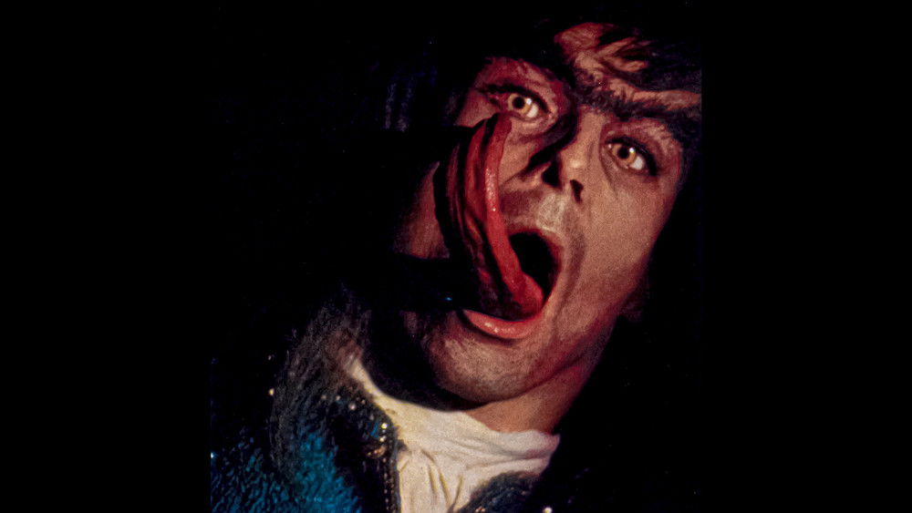 狼之一族,The Company of Wolves(1984电影)