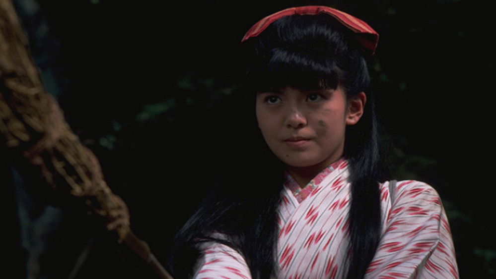 窈窕淑女,はいからさんが通る(1987电影)