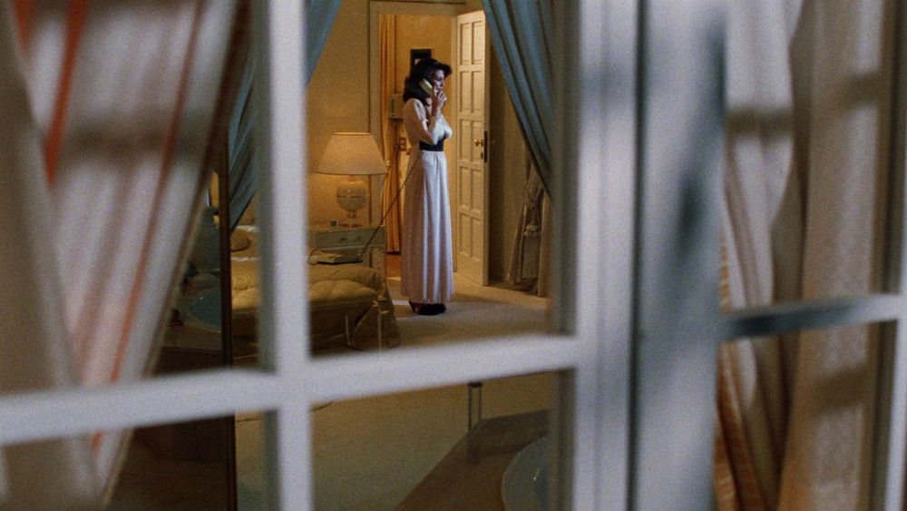 谵妄,Le foto di Gioia(1987电影)