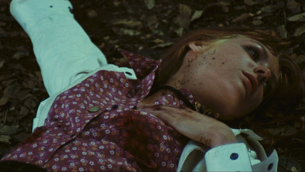 血蝶,Una farfalla con le ali insanguinate(1971电影)