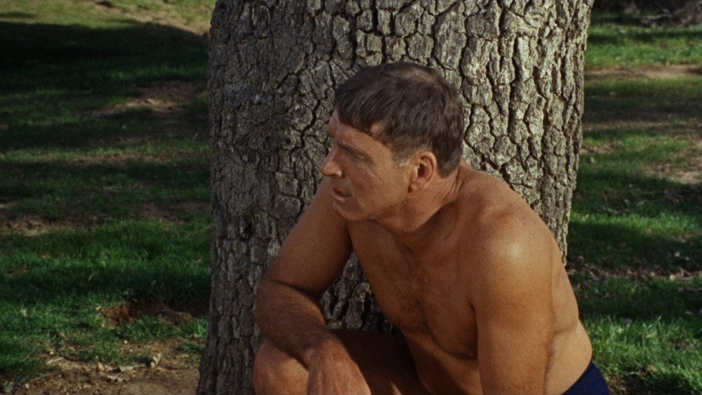 浮生录,The Swimmer(1968电影)