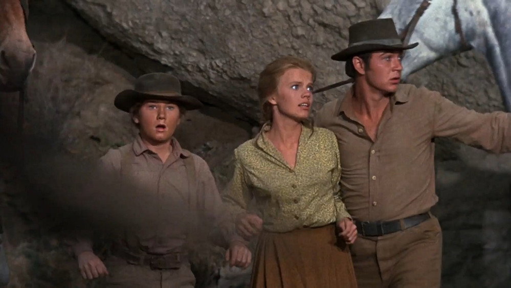 忠狗山姆,Savage Sam(1963电影)