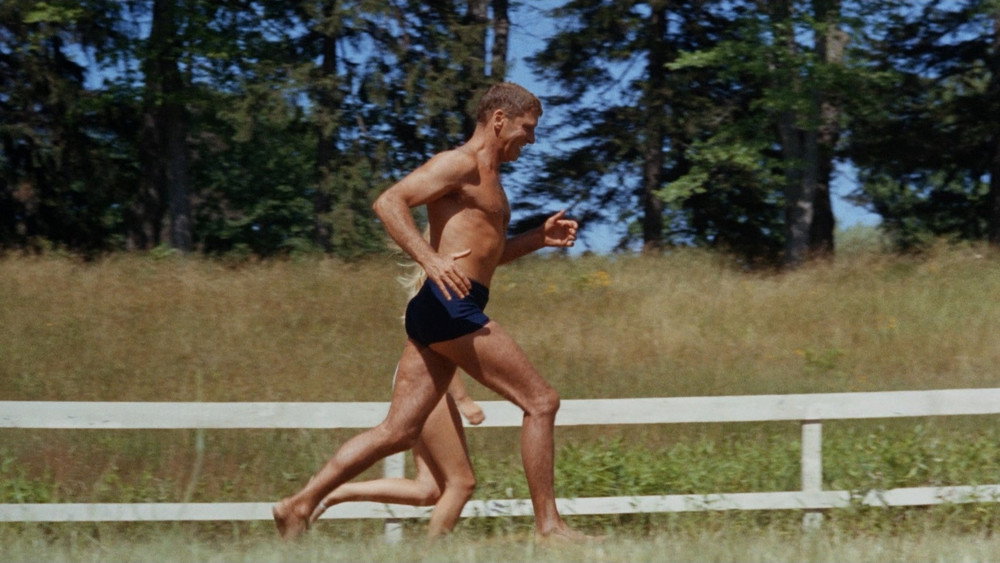浮生录,The Swimmer(1968电影)