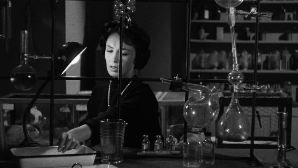 黄蜂女,The Wasp Woman(1959电影)
