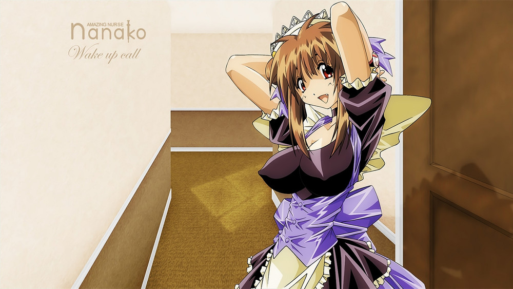 菜菜子解体诊书,菜々子解体診書(1999日本动漫)