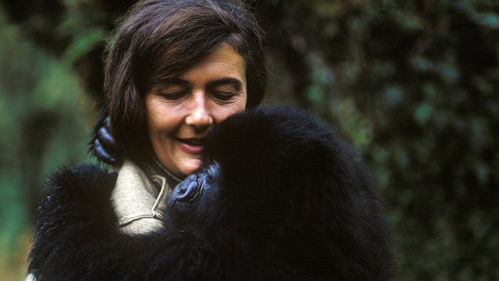 戴安·弗西被杀之谜,Dian Fossey: Secrets in the Mist(2017电视剧集)