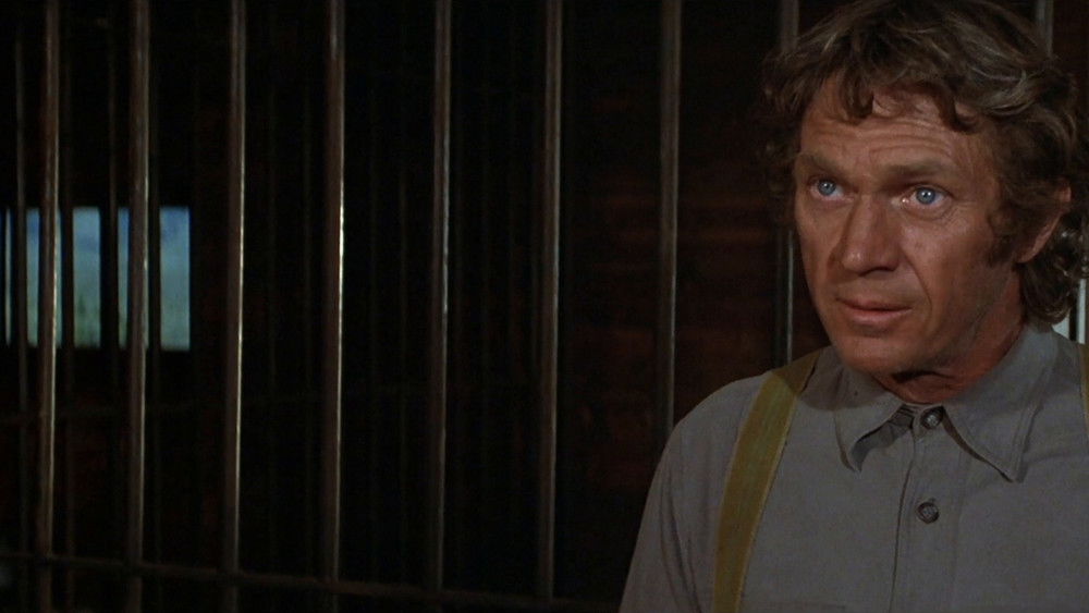 大英雄,Tom Horn(1980电影)