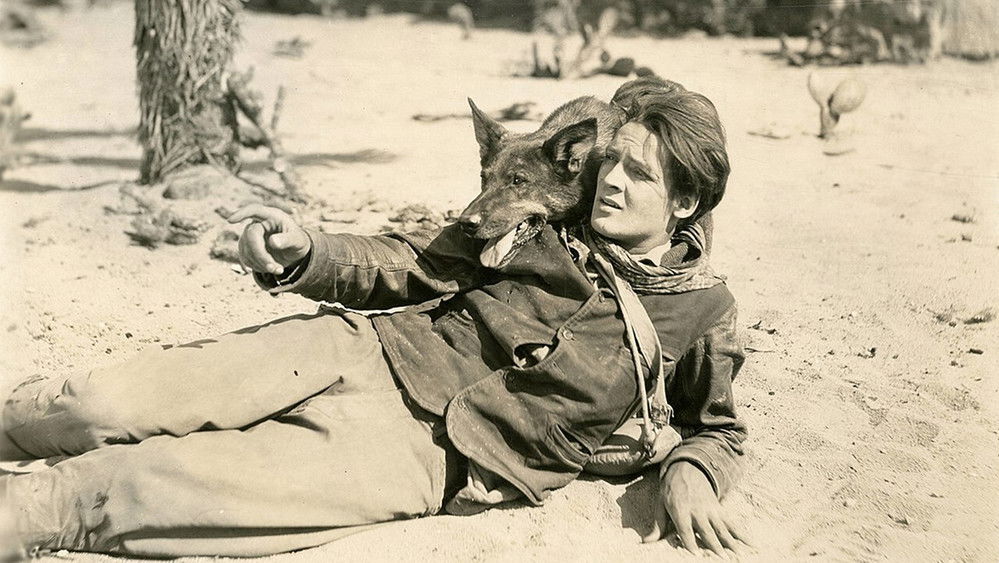 狼群的冲突,Clash of the Wolves(1925电影)