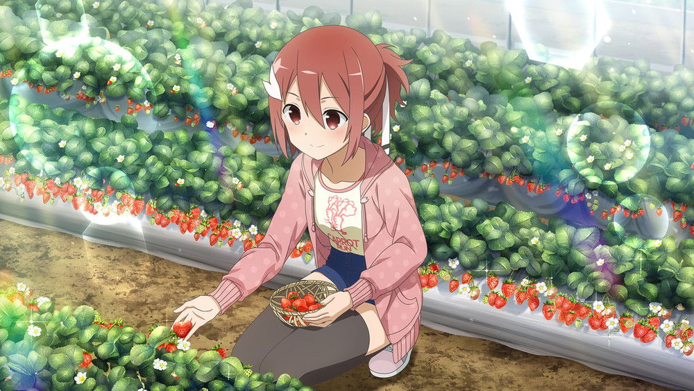 结城友奈是勇者,結城友奈は勇者である(2014日本动漫)