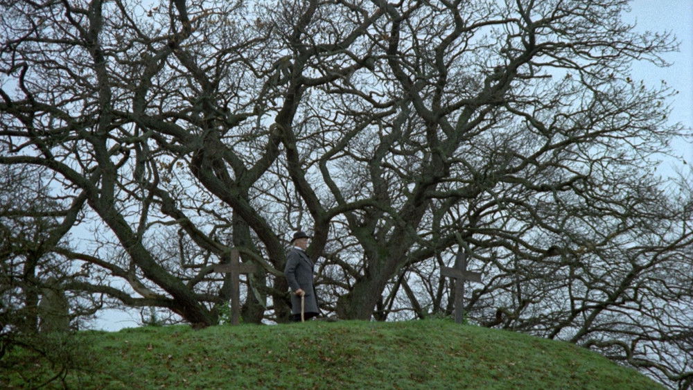 新大陆,Nybyggarna(1972电影)