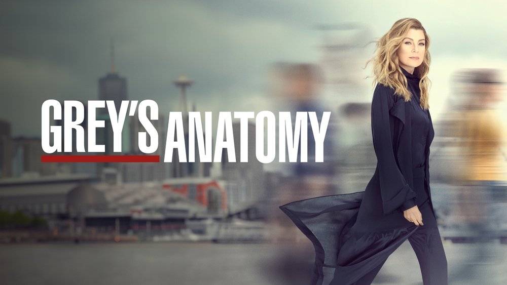 实习医生格蕾,Grey's Anatomy(2005电视剧集)