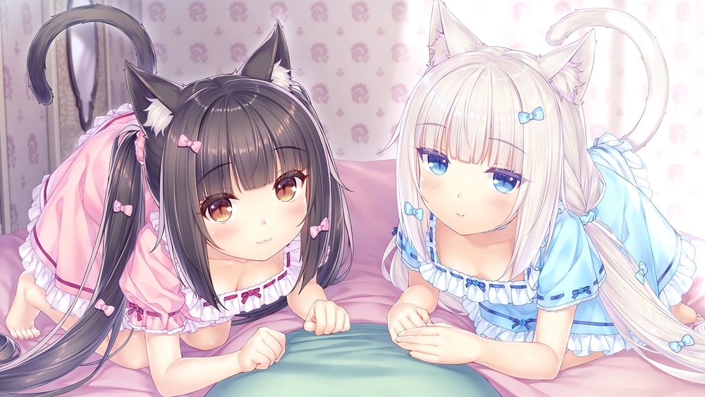 猫娘乐园,ネコぱら(2020日本动漫)