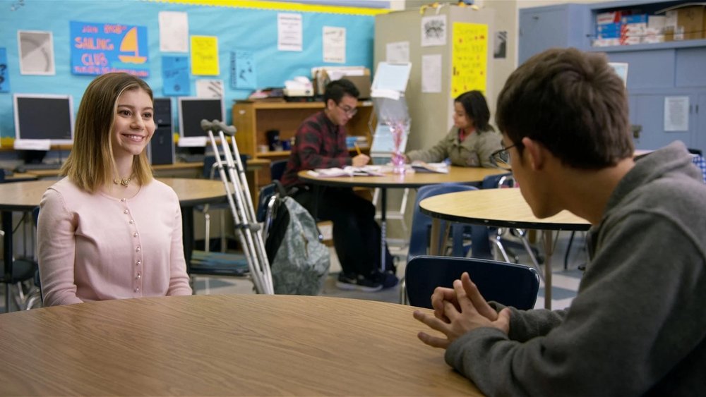 美国高中破坏公物事件,American Vandal(2017电视剧集)
