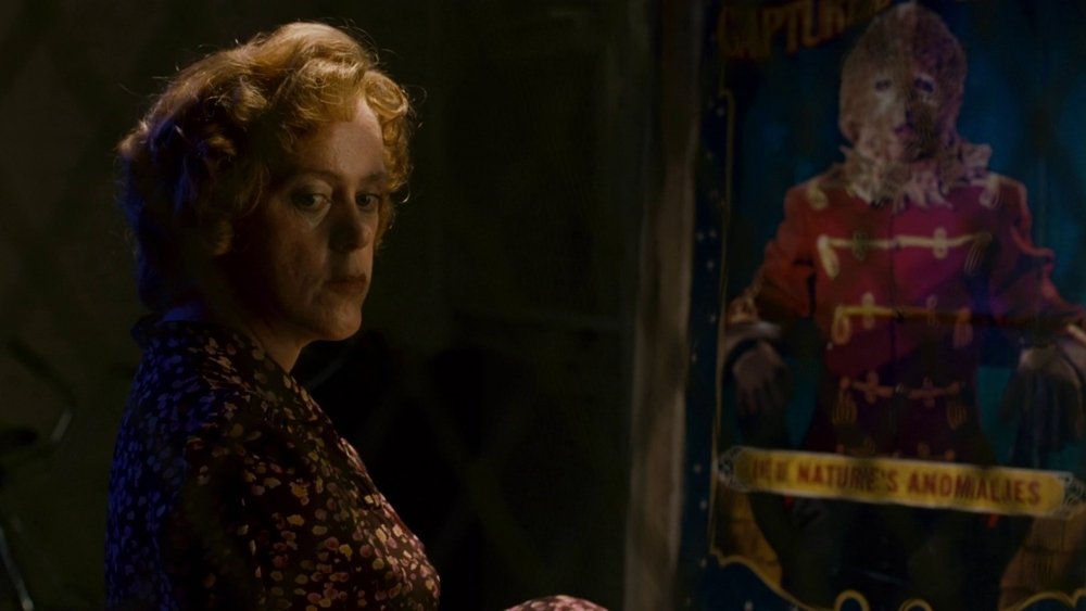 皮毛,Fur: An Imaginary Portrait of Diane Arbus(2006电影)