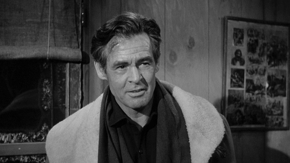 无法无天的日子,Day of the Outlaw(1959电影)