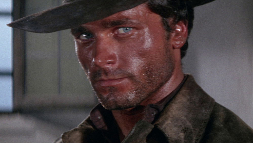 德州游侠,Texas, Addio(1966电影)