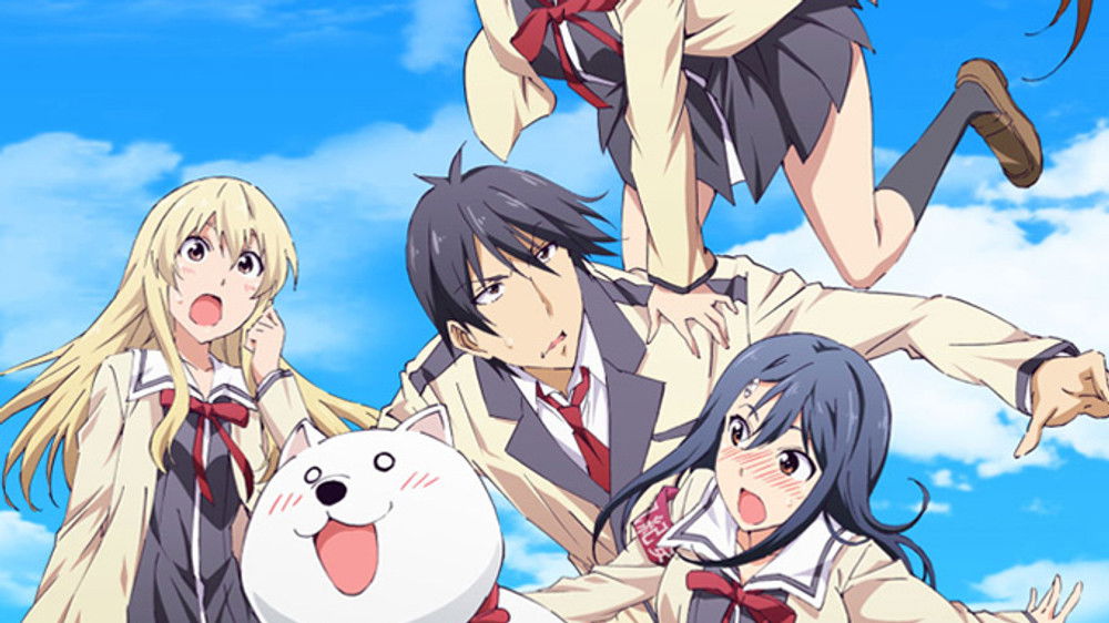 Aho Girl