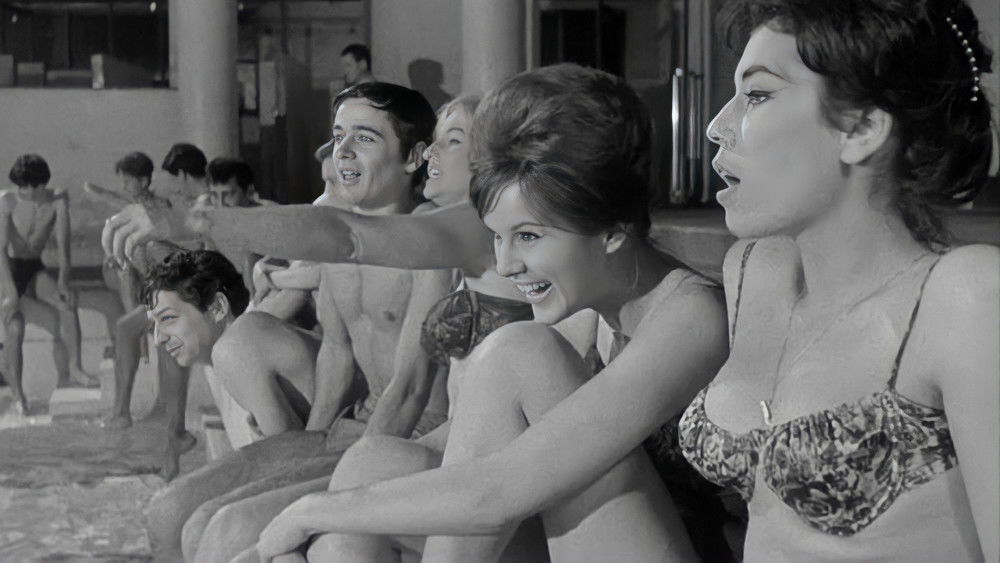 好女人们,Les bonnes femmes(1960电影)