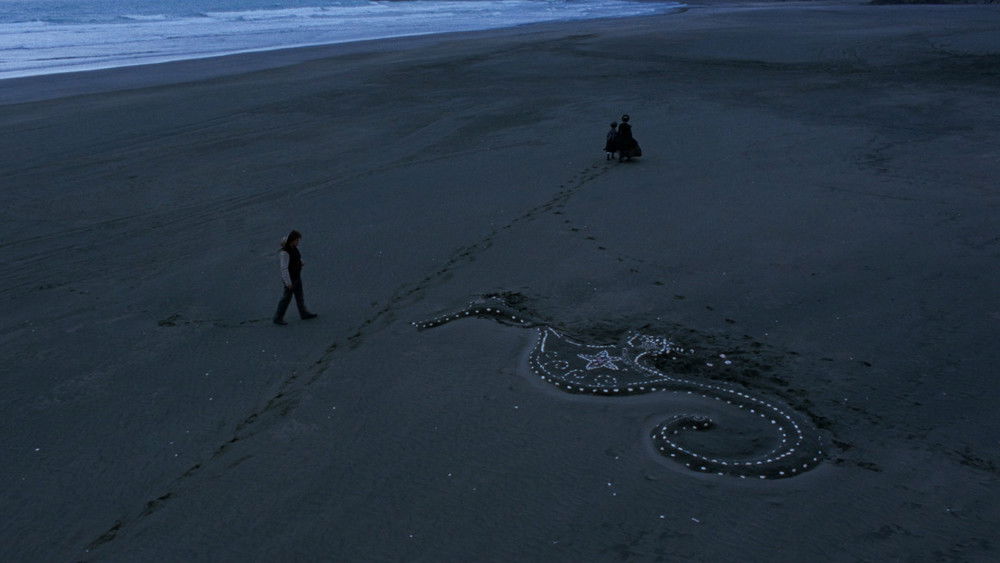 钢琴课,The Piano(1993电影)