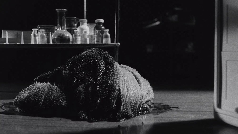 玛雅神怪,Caltiki - Il mostro immortale(1959电影)