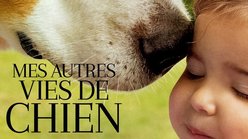 一条狗的使命2,A Dog's Journey(2019电影)