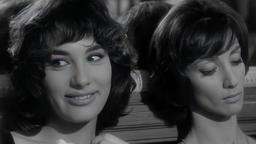 好女人们,Les bonnes femmes(1960电影)