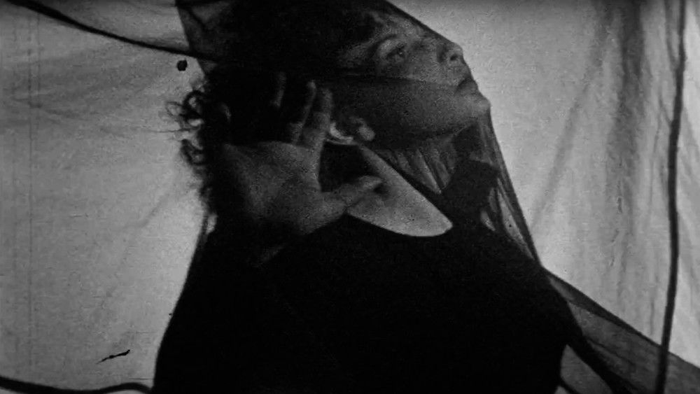 午后的迷惘,Meshes of the Afternoon(1943电影)