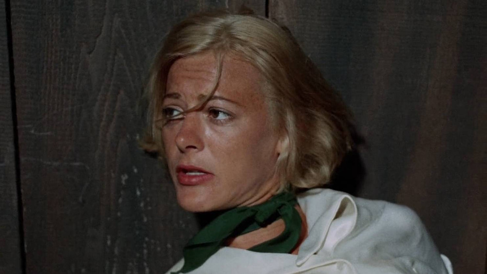 灼热的马刺,Hot Spur(1968电影)